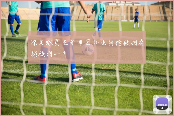 深足球员王子华因非法持枪被判有期徒刑一年