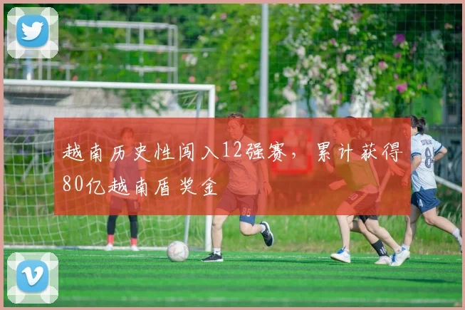 越南历史性闯入12强赛，累计获得80亿越南盾奖金